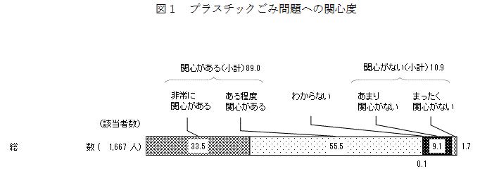 プラスチックごみ問題関心度 世論調査