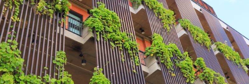 LEED v5のためのプロジェクトプライオリティとイノベーションライブラリーを構築